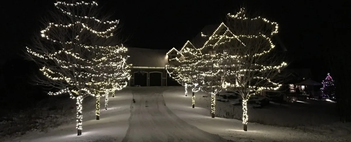 Two bare trees wrapped trunk to branch tip in warm white lights flanking a snowy driveway