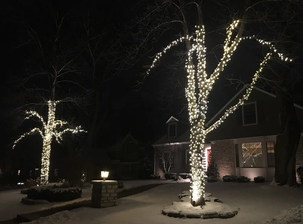 Snow-covered front yard with two bare trees wrapped trunk and limb in warm white lights beside a dark house